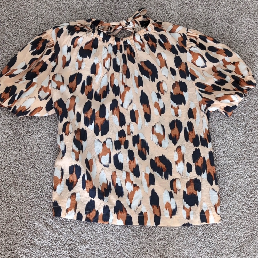 Ann Taylor Blouse